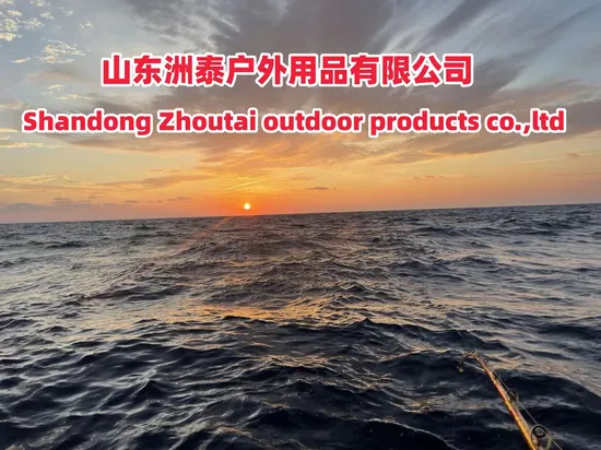 Fishing Rod Accessory Tip Top Guide Ring Stst Fishing Tackle Factory Wholesale 